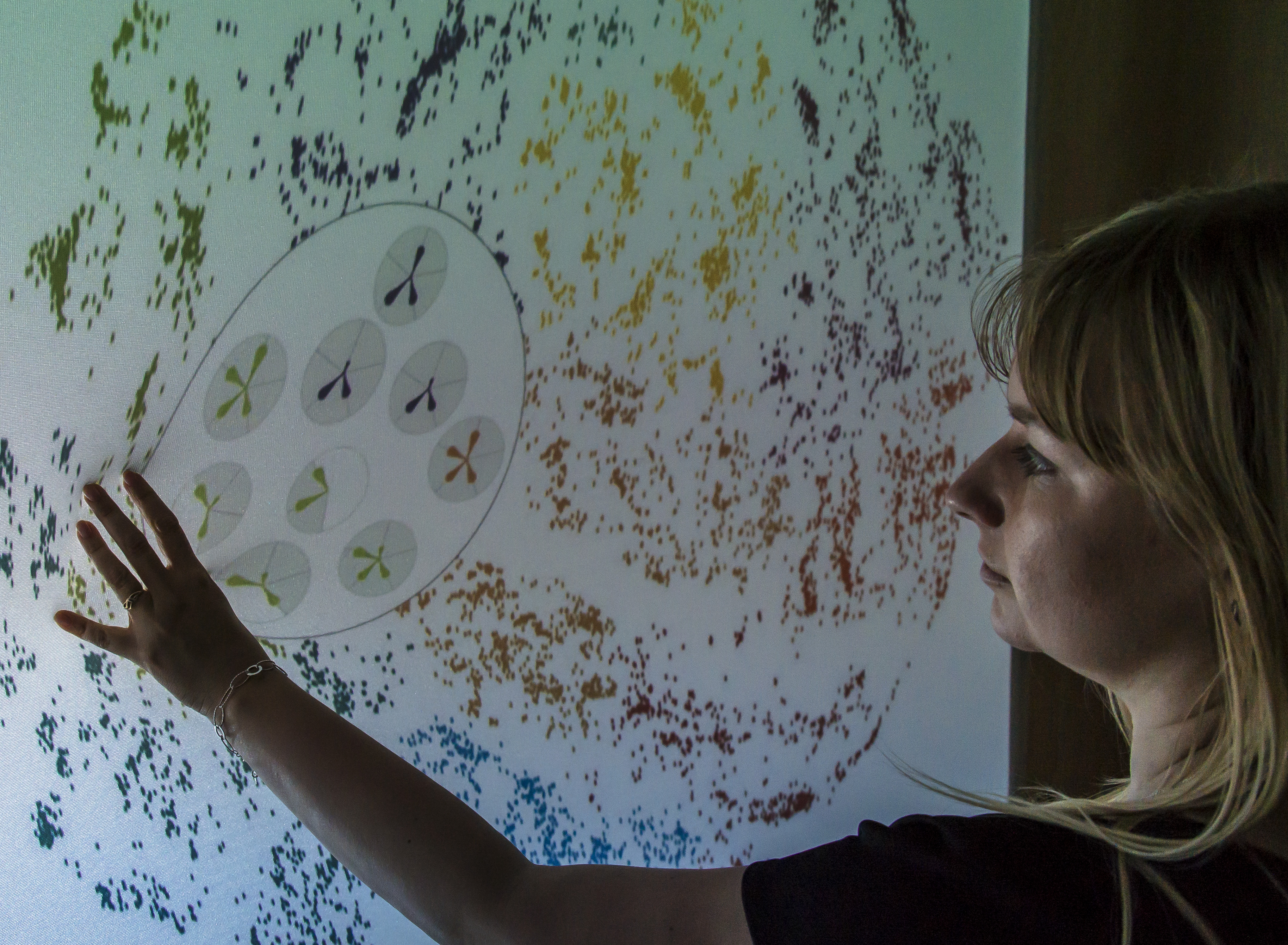 exploring big data landscapes on the FlexiWall